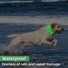 USB-C充电式防水发光狗项圈，可调节柔软尼龙网状LED狗项圈，6种灯光颜色可选，适合夜间遛狗 - 彩色 - 查看 3