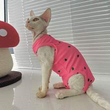 无毛猫背心，透气亲肤保暖，心形宠物服装，适合斯芬克斯猫 - 黃色 - 查看 1