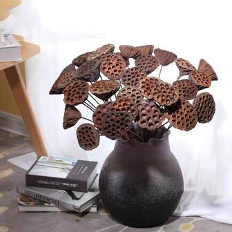 1个/3个特大号干荷荚+人造花茎，自然花朵造型，永不凋谢，适合自然、森林风格装饰，室内桌面、餐桌、花园、走廊、水池装饰