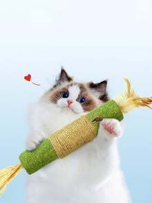 1 Packung Katzenminze Spielzeug für Katzen, Katzenminze Stäbe Katzenspielzeug für Wohnungskatzen, Kauknochen Katzenspielzeug für Zahnreinigung, Leckerchen für Katzen & Kätzchen, Zahnpflege Katzenspielzeug