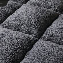 Winter Plush Fleece Mattress Pad, Topper & Tatami Mat For Bedroom, Dorm, Guest Room, Hotel & Floor