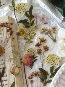 1 Pack Of 40pcs Plant & Floral Pattern PET Stickers, Decorative For Scrapbooking, Diary, DIY Crafts - one-size - View 4