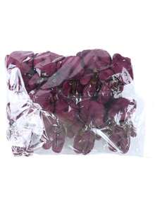 10个可爱小泰迪熊毛绒玩具，柔软填充泰迪熊，关节可动，婚礼花束礼物，毛绒娃娃，儿童生日装饰礼物，婚礼节日礼物，卧室装饰袋 - 彩色 - 查看 19