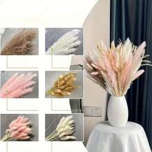 100pcs Dried Pampas Grass Bouquet - Soft Pink To Beige - 17 Inch Tall Boho Wedding, Home Or Grandparents' Day Decor - Elegant Tabletop, Living Room Or Fall Piece - Long Lasting Floral Decoration - Pink - View 4