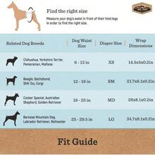 - Paales para Perros Macho, superabsorbentes, Transpirables, a Prueba de Fugas con indicador de Humedad, XS, 50 Unidades - Talla XS de cintura 6-13 pulgadas - Ver 8