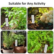 200Pcs Plastic Plant Labels And Markers For Outdoor Plants And Pen 10x2cm White Reusable Name Plant Tags For Seedlings Flower Herb Potted Vegetables - 白色 - 查看 4