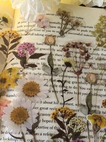 1 Pack Of 40pcs Plant & Floral Pattern PET Stickers, Decorative For Scrapbooking, Diary, DIY Crafts - one-size - View 3