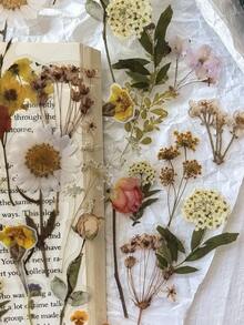 1 Pack Of 40pcs Plant & Floral Pattern PET Stickers, Decorative For Scrapbooking, Diary, DIY Crafts - one-size - View 7