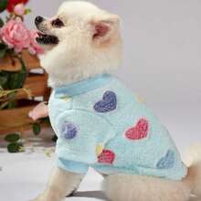 秋冬新款宠物狗猫衣服，奶油色贵宾犬泰迪比熊犬小型犬牵引绳羊毛连帽衫 - 藍色 - 查看 10