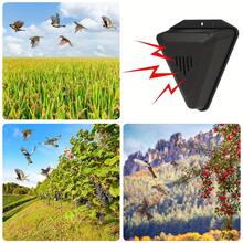 1pc Solar Powered Animal Repeller - Triangular Outdoor Garden Bird Repellent Device With 13 Sounds, Effective Wild Animal Control For Farm, Yard And Garden - Black - View 10