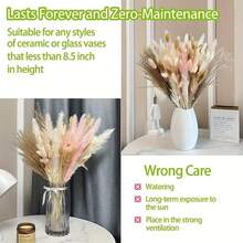 100pcs Dried Pampas Grass Bouquet - Soft Pink To Beige - 17 Inch Tall Boho Wedding, Home Or Grandparents' Day Decor - Elegant Tabletop, Living Room Or Fall Piece - Long Lasting Floral Decoration - Pink - View 6