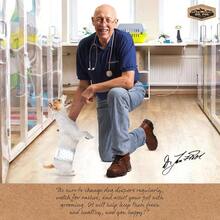 - Paales para Perros Macho, superabsorbentes, Transpirables, a Prueba de Fugas con indicador de Humedad, XS, 50 Unidades - Talla XS de cintura 6-13 pulgadas - Ver 6