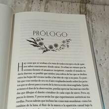 Alas de estrella, Allison Saft, Gisnep, fantasía romántica - Libro único - Ver 3