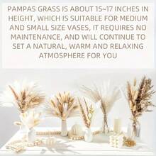 100pcs Dried Pampas Grass Bouquet - Soft Pink To Beige - 17 Inch Tall Boho Wedding, Home Or Grandparents' Day Decor - Elegant Tabletop, Living Room Or Fall Piece - Long Lasting Floral Decoration - Pink - View 7