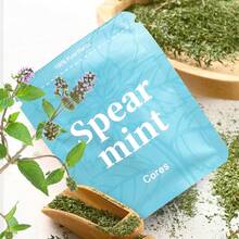 1 Pack Natural Aroma Essential Oil Refill - Unisex Gift, Home Fragrance Freshener, Revitalizing Aromatherapy Sachet, Plant-Based Scents, Variety Of Fragrances, Create Fragrant Home - Silver - View 14