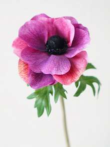 Buquê de Flor de Lótus Prateada Tipo Seda, Design de Flor Redonda Vermelha e Branca Estilo Natalino, Decoração Floral Artificial Elegante, Decoração de Mesa para Feriados, Decoração de Casa de Inverno/Presente de Natal - Multicolorido - Visão 12