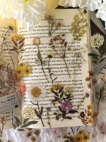 1 Pack Of 40pcs Plant & Floral Pattern PET Stickers, Decorative For Scrapbooking, Diary, DIY Crafts - one-size - View 10