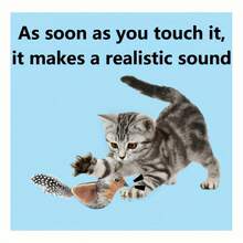 1/3 pezzi Giocattoli per gatti a forma di uccello - Senza batterie richieste, tessuto con stampa animale con piume artificiali per gioco interattivo, adatto per tutte le razze e taglie di gatti