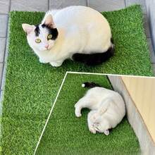 High-Quality Artificial Turf, Durable Easy-To-Maintain Luxury Grass Mat, Premium Touch And Visuals, Indoor/Outdoor Use, Pet-Friendly, Suitable For Garden, Balcony, Patio, Wedding, Backyard - Multicolor - View 8