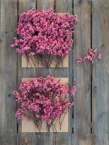 25/55/110/300pcs Natural Dried Baby's Breath Flowers - Elegant Preserved Baby's Breath, Suitable For Home, Office, Wedding, Christmas, Halloween Party, Handicrafts, Maintenance-Free, Suitable For Ages 14+ (No Paper Card) - Pink Crystal Grass - View 5