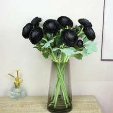 Artificial Ranunculus Flowers With Real Touch Stem, Silk Ranunculus Flowers(10 Pack) (White)-KF - Black - View 4