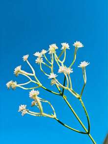 Large Modern Face Planter Pot - Multifunctional Outdoor Planter And Indoor Decorative Vase, Suitable For Garden, Patio, Balcony And Home Decor