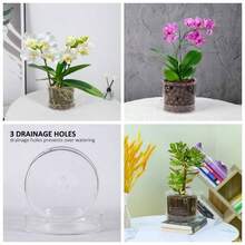 - Macetas de orqudeas con agujeros y bandeja, macetero de vidrio transparente para orqudeas con orificio de drenaje y platillo, maceta de orqudeas para reposicionar, macetas modernas y - 14,73cm + 1 unidad - Ver 1