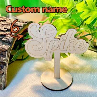 Individuelle Reptilien-Schild Bartagame Namensschild, Reptilien-Haus-Schild, Terrarium-Dekoration, Terrarium-Schild, Schild mit oder ohne Sockel, Haustier-Namensschild