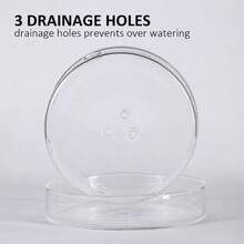 - Macetas de orqudeas con agujeros y bandeja, macetero de vidrio transparente para orqudeas con orificio de drenaje y platillo, maceta de orqudeas para reposicionar, macetas modernas y - 14,73cm + 1 unidad - Ver 5