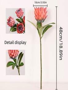 1/2 Piece Artificial King Protea Flower Bouquet - Luxury Plastic Desktop Decor, Maintenance-Free, Suitable For Dining Table, DIY Vase Decoration, Living Room, Bedroom And Garden - Multicolor - View 9