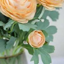 Artificial Ranunculus Flowers With Real Touch Stem, Silk Ranunculus Flowers(10 Pack) (White)-KF - Champagne - View 5
