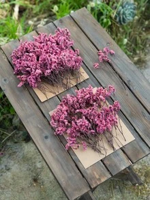 25/55/110/300pcs Natural Dried Baby's Breath Flowers - Elegant Preserved Baby's Breath, Suitable For Home, Office, Wedding, Christmas, Halloween Party, Handicrafts, Maintenance-Free, Suitable For Ages 14+ (No Paper Card) - Pink Crystal Grass - View 3