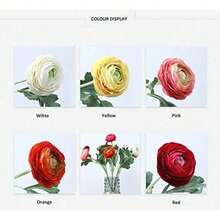 Artificial Ranunculus Flowers With Real Touch Stem, Silk Ranunculus Flowers(10 Pack) (White)-KF - Red - View 8