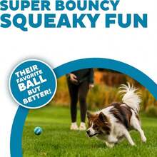 Outward Hound Squeaker Ballz 4-Pack Tennis Ball Dog Toys With Squeaker, Interactive Fetch Play For Pets Under 50 Lbs, Training Balls For Indoor &Amp; Outdoor Exercise, Medium, 25-Inch - ColorD - 查看 2