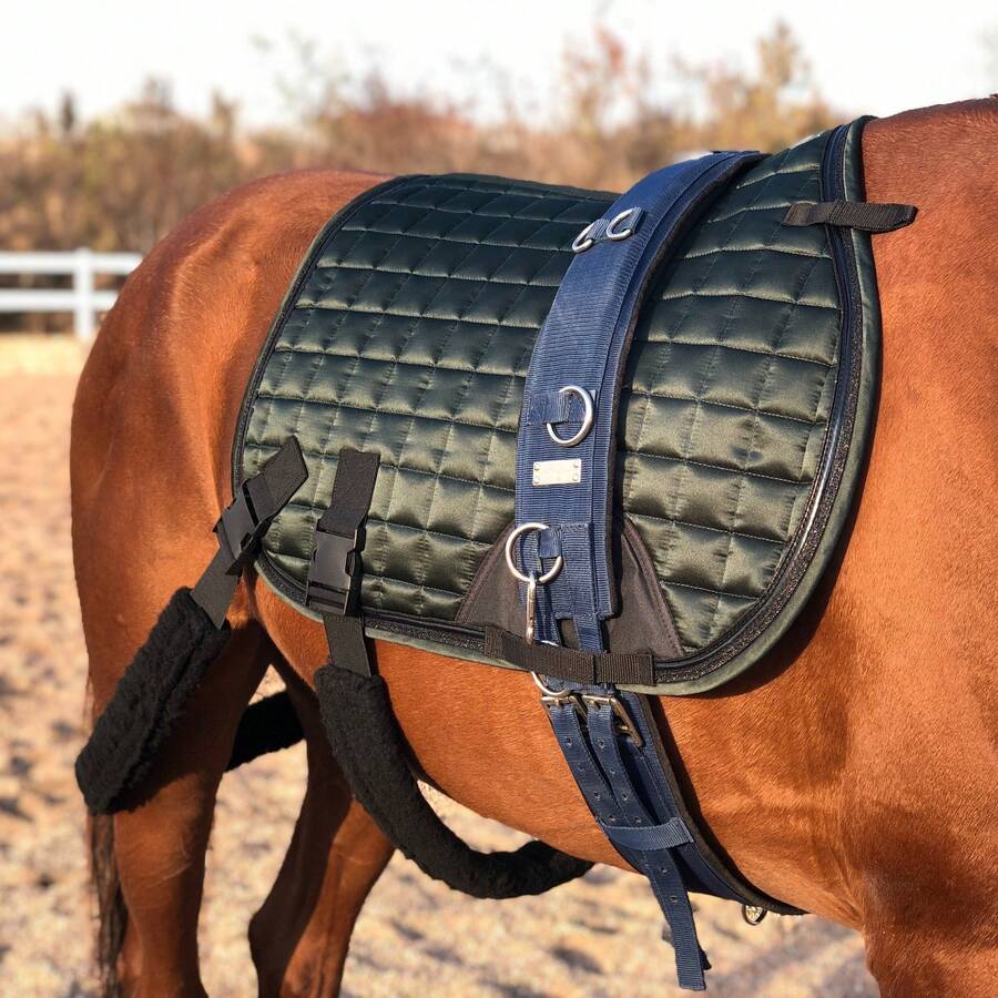 Horse Training Saddle Pad With Detachable Elastic Band And Fur Band, Enhances Hind Leg Flexibility, Easy To Clean - Can Be Used As Regular Saddle Pad Or Training Pad With Attachable Elastic And Fur Bands