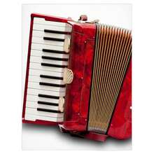 Accordion Blanket, Accordion Lover Gift, Fleece Blanket, Gifts, Personalized Blanket - 白色 - 查看 2