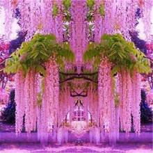 Wisteria, Outdoor Perennial Flower, Perennial Ground Cover Plant, Climbing Lawn, Outdoor Indoor Plant, Flower Planting, Herbaceous Plant, Vegetable, Fruit, Gardening, Suitable For Plant Enthusiasts As A Nature Gift, Local Delivery Cold Resistant And Suitable For All Seasons, Suitable For DIY Gardens, Home Gardens, Flower Pots And Courtyards - An Ideal Gardening Gift - 10 Hạt/hạt giống - Xem 4