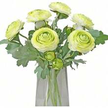Artificial Ranunculus Flowers With Real Touch Stem, Silk Ranunculus Flowers(10 Pack) (White)-KF - Green - View 9