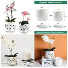 - Maceta de orqudea de 5+ 6 pulgadas - Blanco - Ver 1