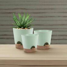 - Macetas de piezas con agujeros de drenaje y platillos para interiores, juego de 5, 6.5, 6, 5.5, 4.5, 3.5 pulgadas color blanco - VerdeSpring + 9+ 8+ 7.5 pulgadas - Ver 3