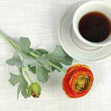 Artificial Ranunculus Flowers With Real Touch Stem, Silk Ranunculus Flowers(10 Pack) (White)-KF - Orange - View 7