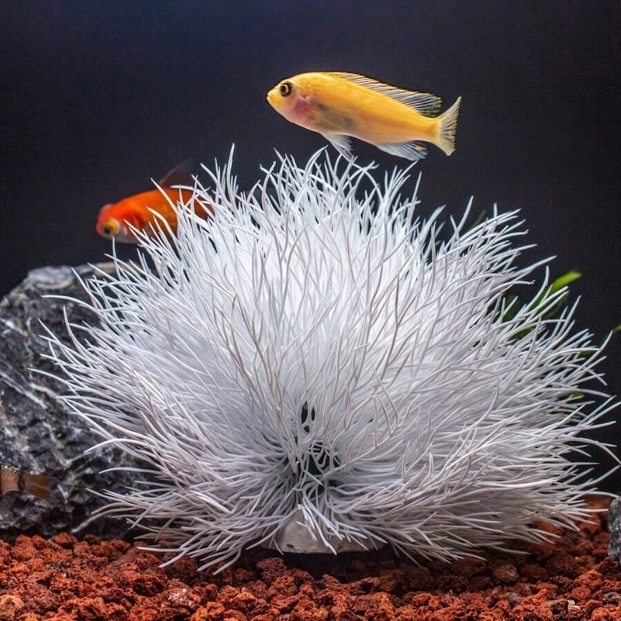 Bunga Lili Putih Buatan - Dekorasi Akuarium Polietilen, Cocok untuk Akuarium Ikan, Ideal untuk Menciptakan Pemandangan Bawah Air, Dekorasi Akuarium Ikan | Dekorasi Alami | Tanaman Air, Dekorasi Akuarium Ikan