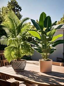 两件套 37 英寸超大仿真棕榈树和香蕉树 - 高品质逼真叶片，翠绿热带植物，适用于豪华住宅、办公室、酒店、花园、庭院和节日装饰；多功能室内外展示；落地式仿真棕榈树（不含花盆） - 彩色 - 查看 1