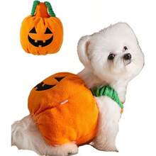 Lindo Disfraz de Calabaza para Perros y Gatos pequeos, Traje Ligero de Halloween, Ropa de otoo Divertida para Mascotas, Cosplay, sesin de Fotos, Talla L - L - Ver 2