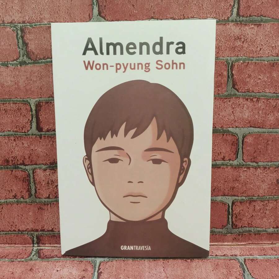 Almendra. De Won-pyung Sohn. Una novela que explora temas como la soledad, la importancia de las relaciones humanas y la búsqueda de comprensión en un mundo a menudo indiferente. - Libro único - Ver 1