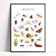 Charming Insects Canvas Art Poster - Frameless Wall Decor For Living Room, Bedroom & Home Office - Multicolor - View 1