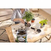 Lechuza Recipiente, Polipropileno PP, Blanco - Marrón - Ver 8