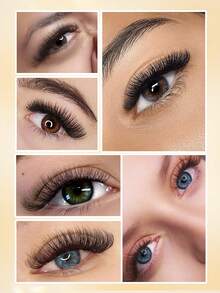 600 Fans Curvature D 10D/12D/14D/16D/20D Black Pramde Fans Lashes 0.05mm 8-17mm Hand Made Premade Loose Fans Eyelash Extensions - D - View 8