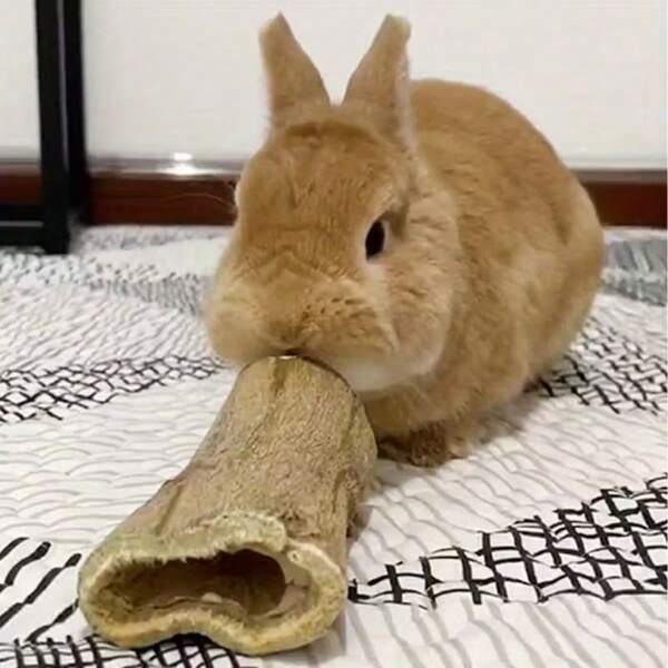 Natural Wooden Rabbit Chew Toy - Papaya Wood Chew Stick, Suitable For Hamsters, Guinea Pigs, Rats, Gerbils And Other Small Pets