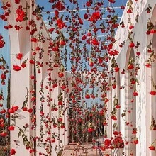 6 peças (5 Rosas Vermelhas + 1 Rolo de Linha Transparente) / 11 peças (10 Rosas Vermelhas + 1 Rolo de Linha Transparente), Decoração Floral Romântica de Rosas Vermelhas Penduradas, Acompanha 15M de Linha Transparente, Adequado para Arco de Casamento e Decoração de Teto, Chá de Panela, Decoração de Mesa para Festa do Dia dos Namorados, Tema de Princesa, Centros de Mesa de Casamento, Decoração de Bottom de Festa